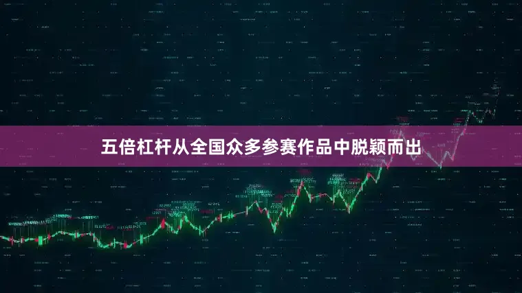 五倍杠杆从全国众多参赛作品中脱颖而出