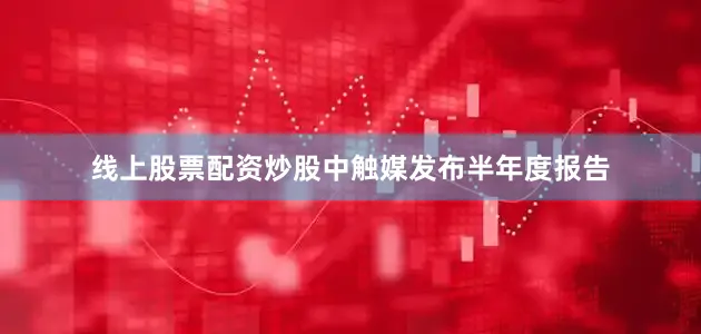 线上股票配资炒股中触媒发布半年度报告