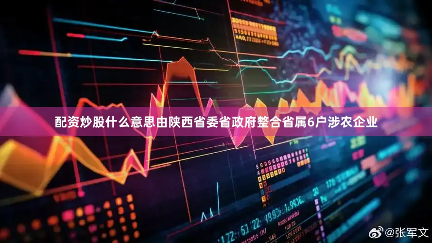 配资炒股什么意思由陕西省委省政府整合省属6户涉农企业